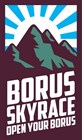 BORUS SKYRACE