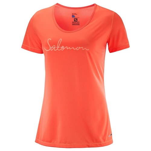 Salomon Футболка Mazy Graphic SS Tee W 49069 - фото 103886