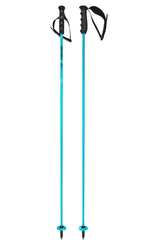 Head Палки г/л World Cup Carbon 12,3 mm 68180 - фото 129932