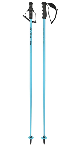 Head Палки г/л World Cup SL 18 mm 68184 - фото 129940