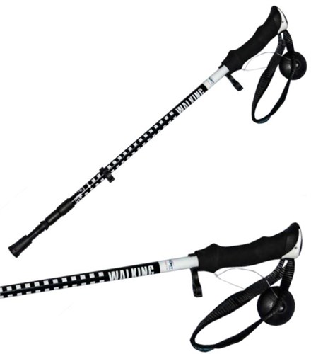 DSport Палки треккинговые Carbon 41972 - фото 14987