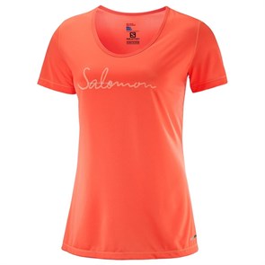 Salomon Футболка Mazy Graphic SS Tee W 49069