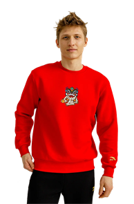 {{productViewItem.photos[photoViewList.activeNavIndex].Alt || productViewItem.photos[photoViewList.activeNavIndex].Description || 'Anta Свитшот Lifestyle M'}}