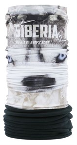 Buff Бандана Polar 65159