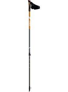 COBER Палки для скандинавской ходьбы Carduus 66073