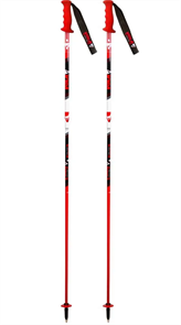 {{productViewItem.photos[photoViewList.activeNavIndex].Alt || productViewItem.photos[photoViewList.activeNavIndex].Description || 'Vola Палки г/л Alpine SL Carbon'}}