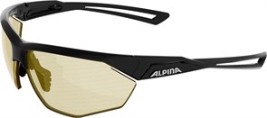 {{productViewItem.photos[photoViewList.activeNavIndex].Alt || productViewItem.photos[photoViewList.activeNavIndex].Description || 'Alpina Очки солнцезащитные Nylos HR'}}
