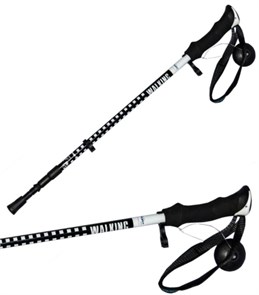 DSport Палки треккинговые Carbon 41972