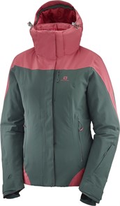 Salomon Куртка Icerocket W 51788