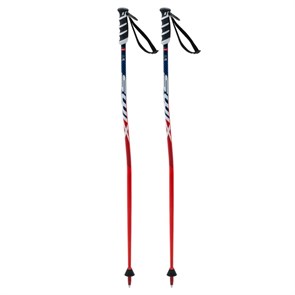 {{productViewItem.photos[photoViewList.activeNavIndex].Alt || productViewItem.photos[photoViewList.activeNavIndex].Description || 'Swix Палки г/л WC JR SG, Premium Aluminum'}}