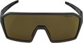 Alpina Очки солнцезащитные Ram Q-Lite 63388 - фото 108065