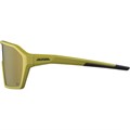 Alpina Очки солнцезащитные Ram Q-Lite 63388 - фото 108081