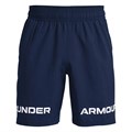 Under Armour Шорты Woven Graphic WM 66279 - фото 119604