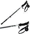 DSport Палки треккинговые Carbon 41972 - фото 14987