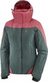 Salomon Куртка Icerocket W 51788 - фото 24966
